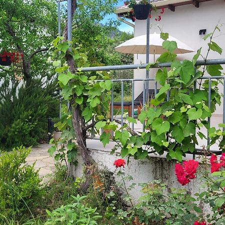 Ioannis Houses - Gemuetliches Ferienhaus Im Olivenhain 스칼라 포타미아스 외부 사진