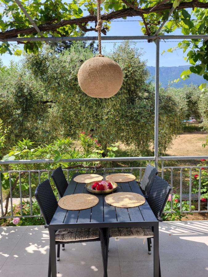 Ioannis Houses - Gemuetliches Ferienhaus Im Olivenhain 스칼라 포타미아스 외부 사진