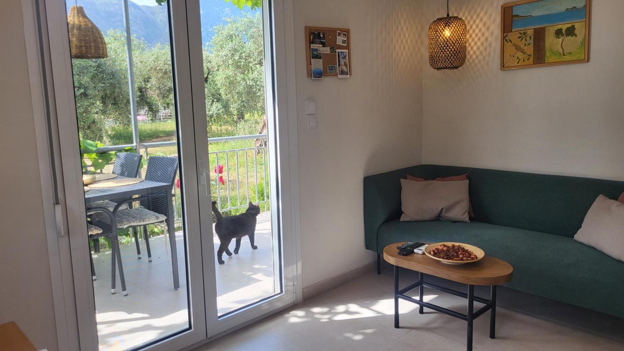 Ioannis Houses - Gemuetliches Ferienhaus Im Olivenhain 스칼라 포타미아스 객실 사진